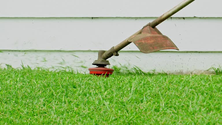 Best Lawn Irrigation Installation and Maintenance  in USA